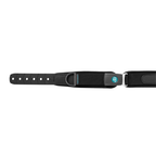 Evoflex Bodypoint (BP) Strap